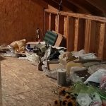Attic Cleanout Cleanup Service Fresno